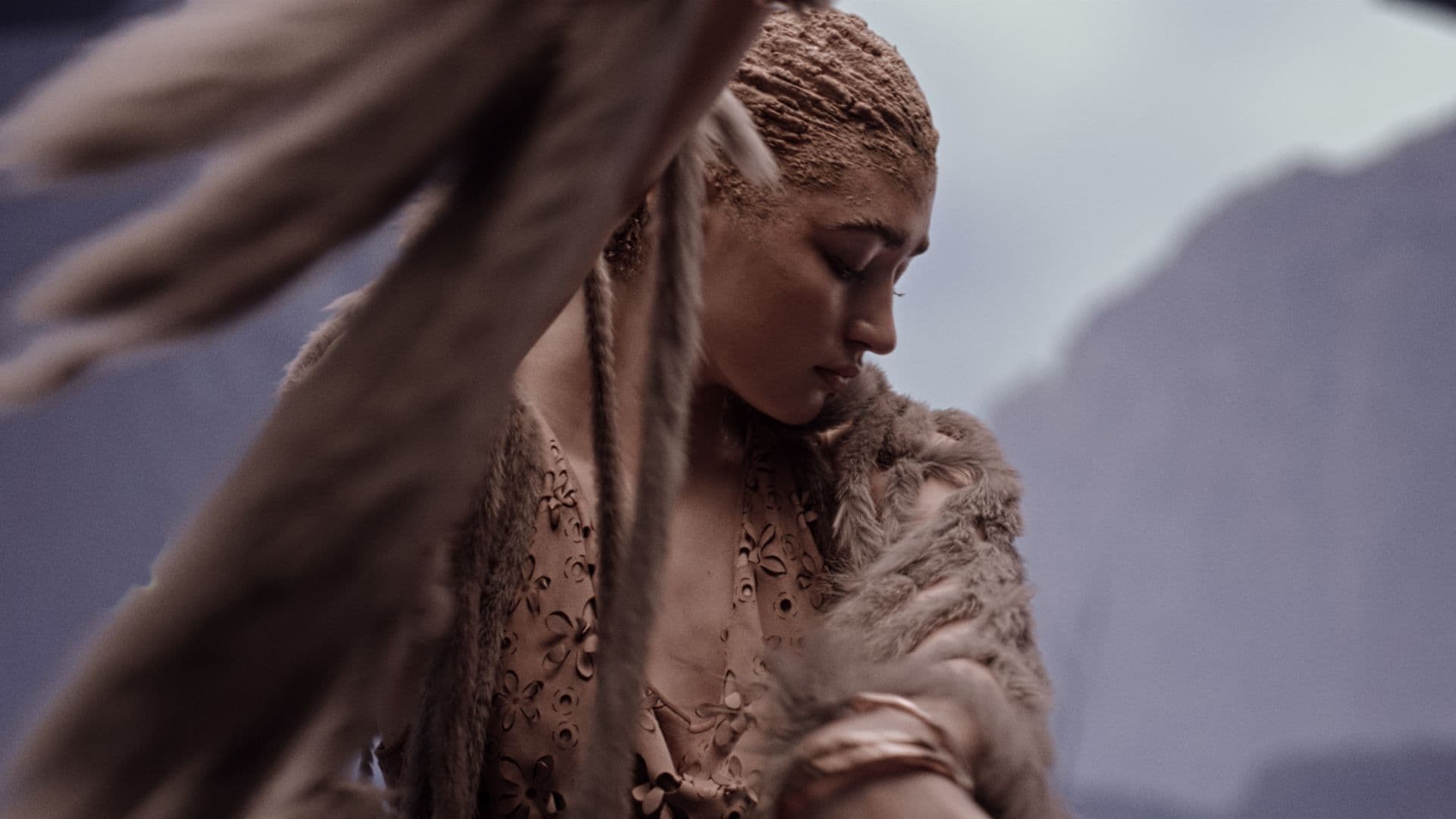 Social media showcase